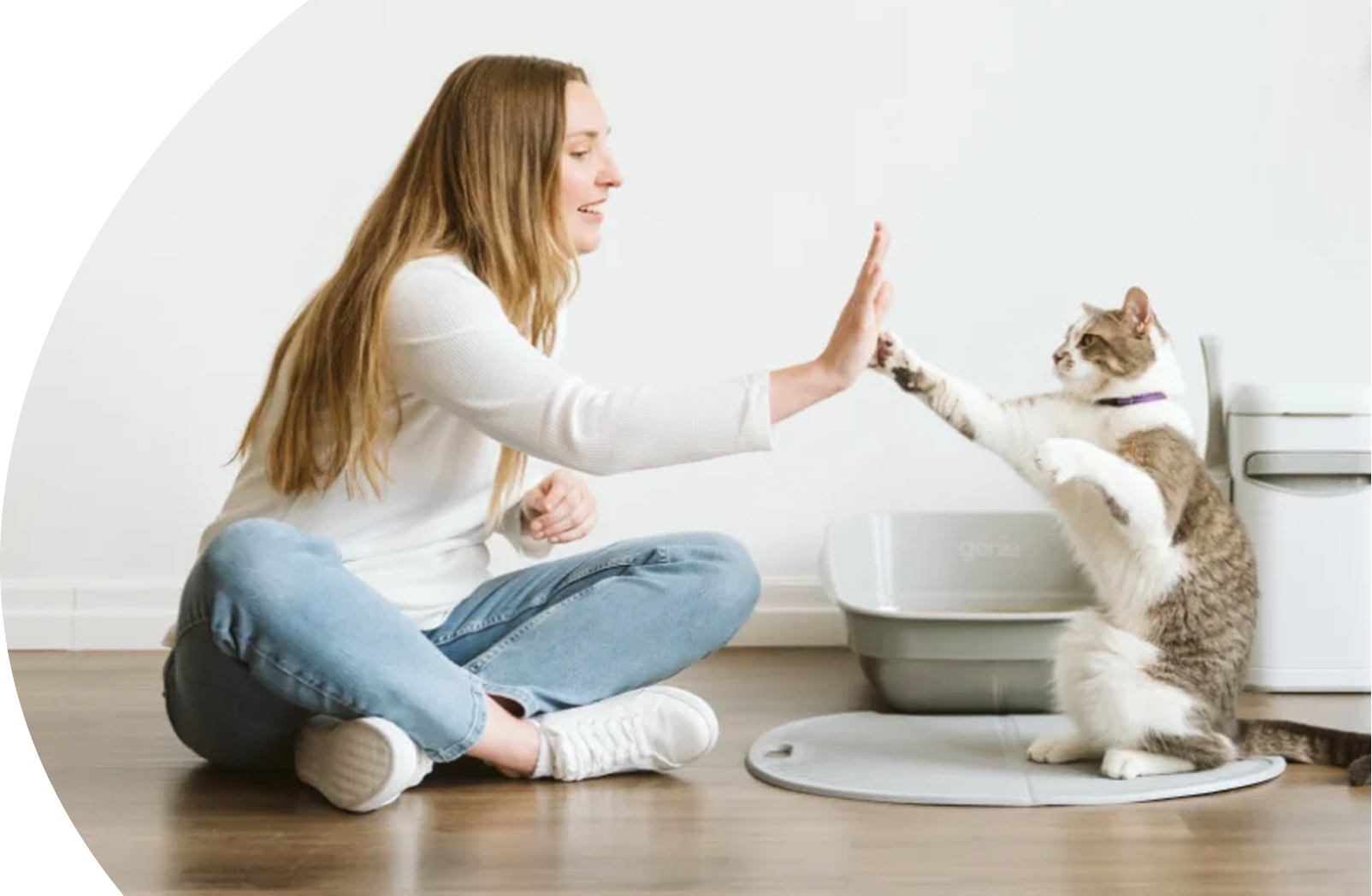 Happy Cat, Happy Home: The Secret to a Perfect Litter Box Setup