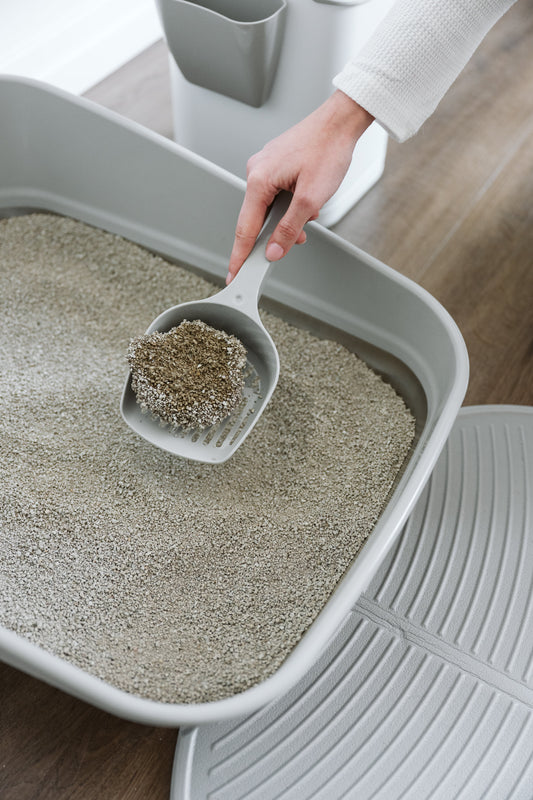 Can You Flush Cat Litter Down the Toilet?