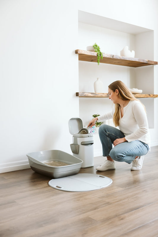 Can You Flush Cat Litter Down the Toilet?