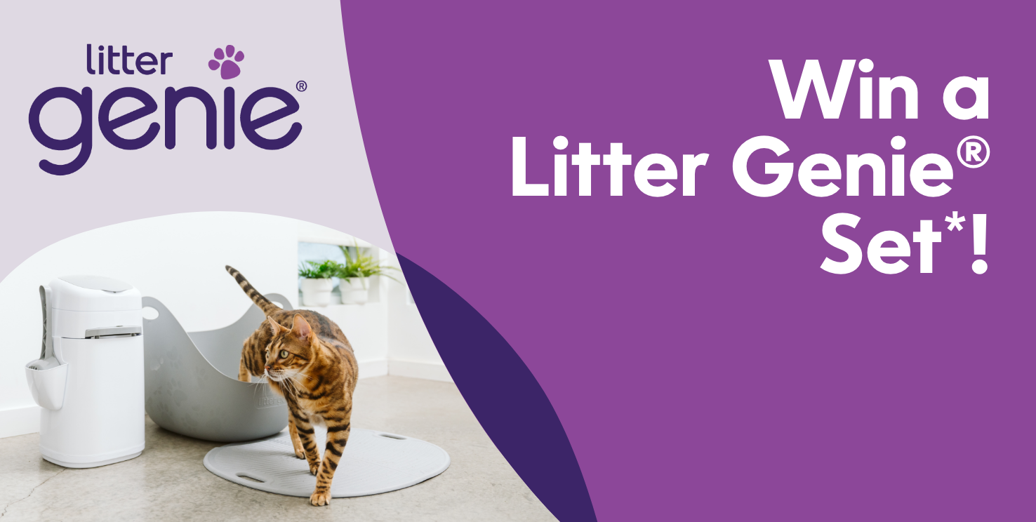 Quarterly Giveaway