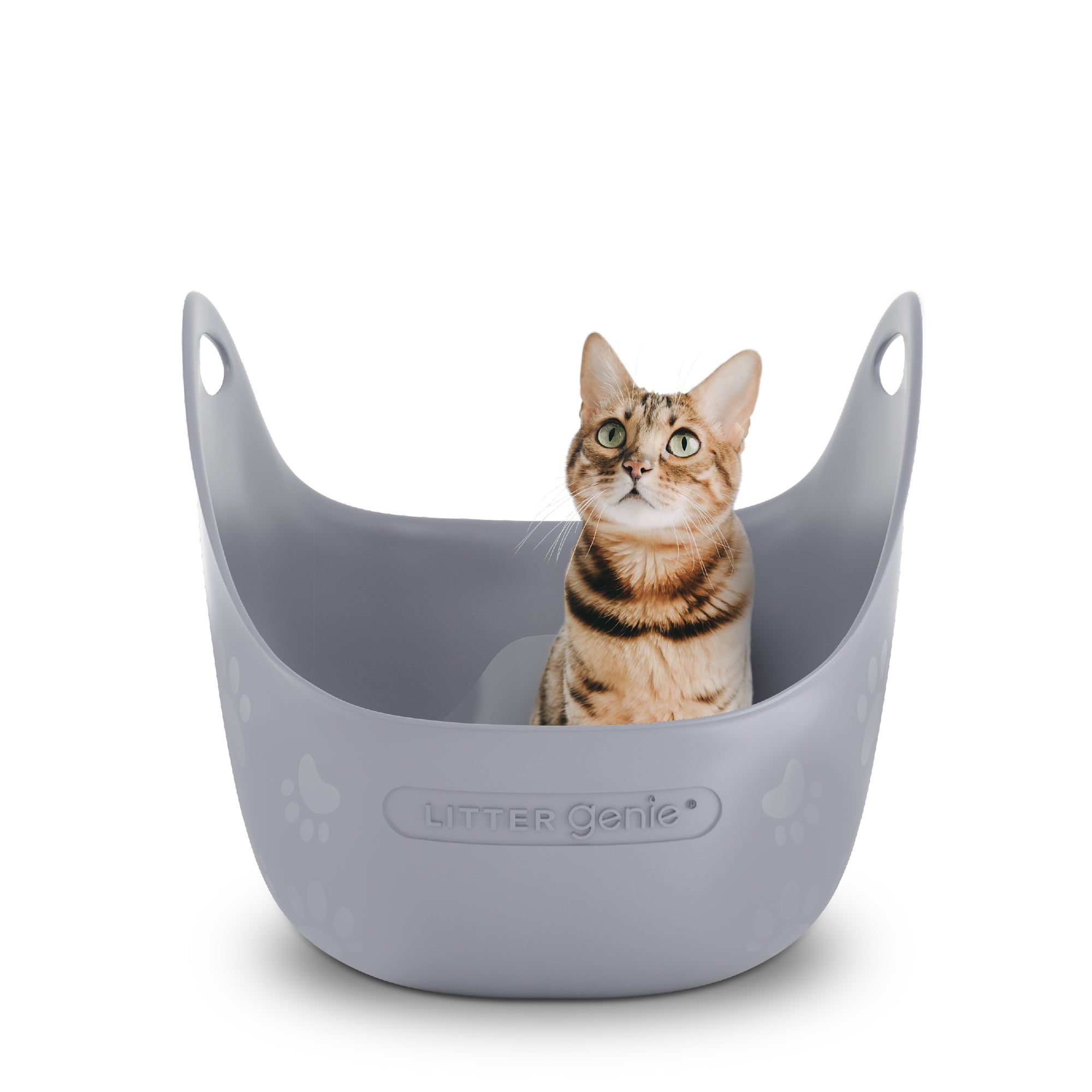 Genie dome litter box sales