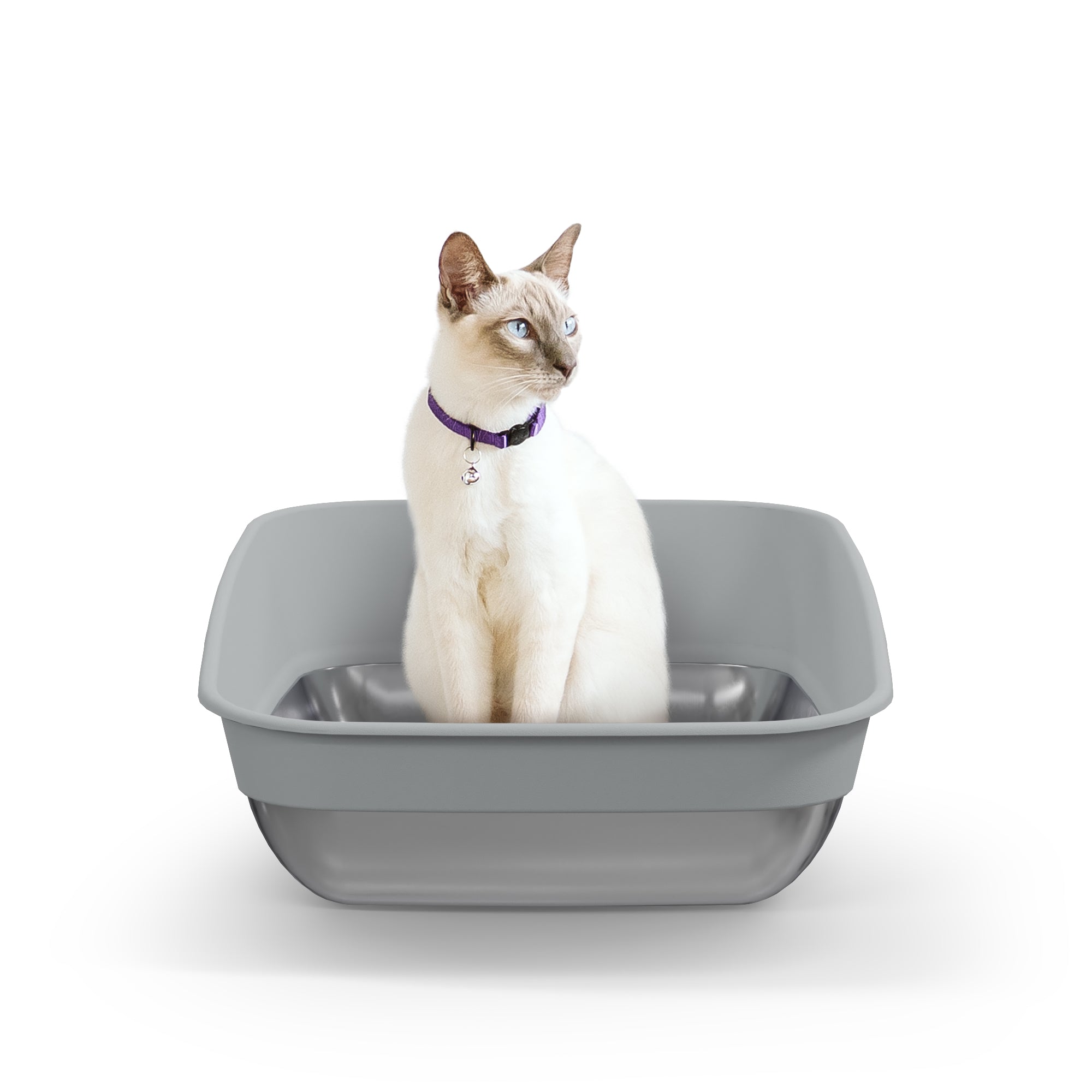 LitterGenie-LitterBox-Platinum-CA-EN-01