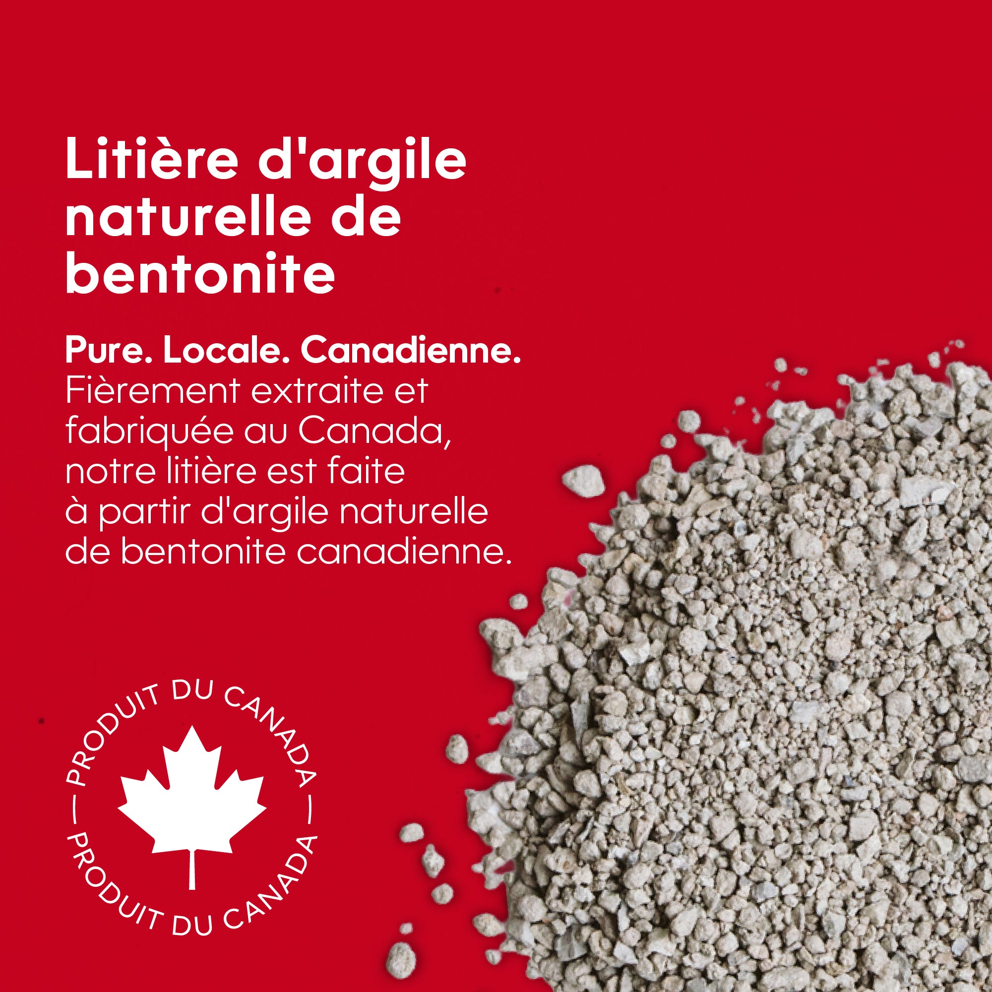 Cat Litter-CA-FR-02
