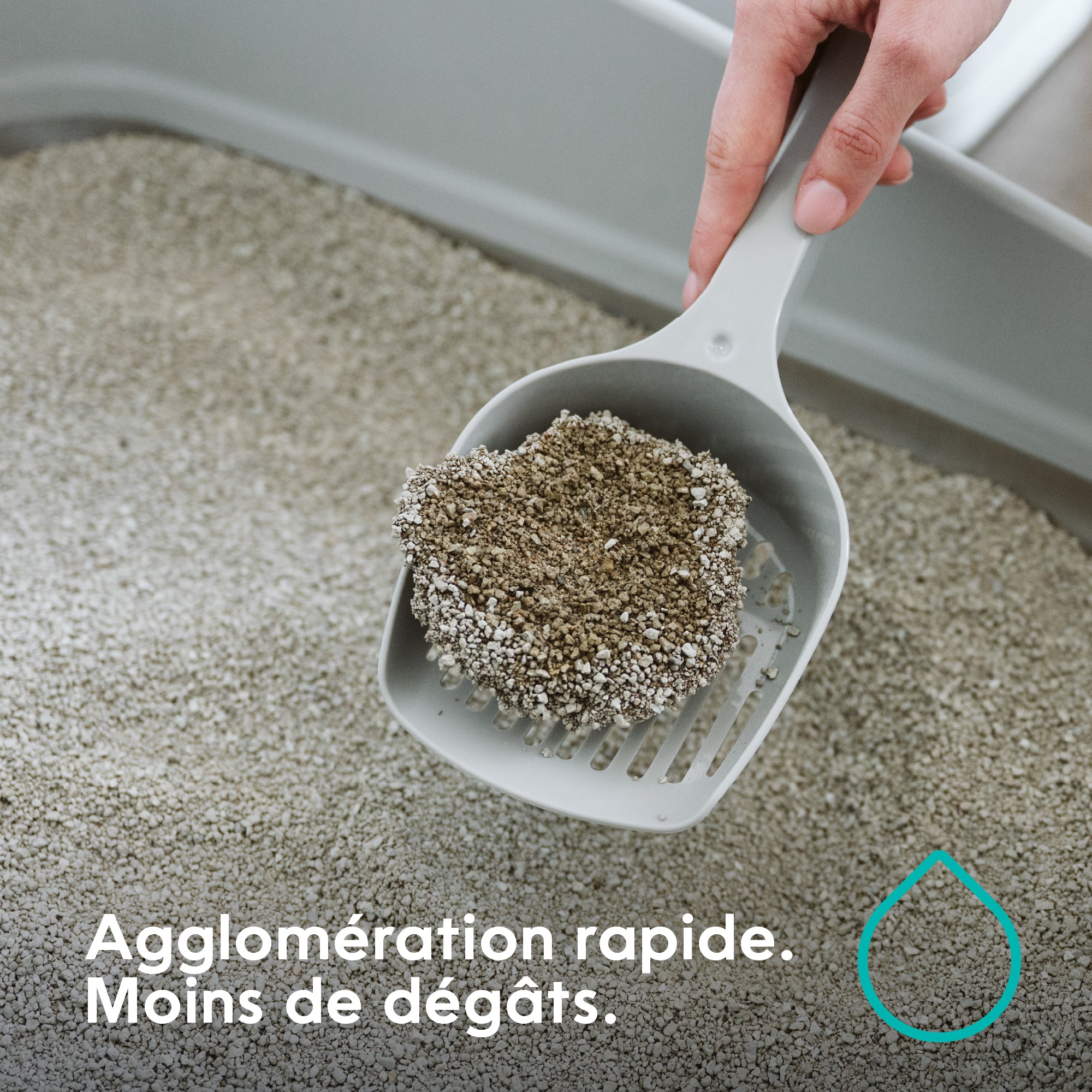 Cat Litter-CA-FR-06