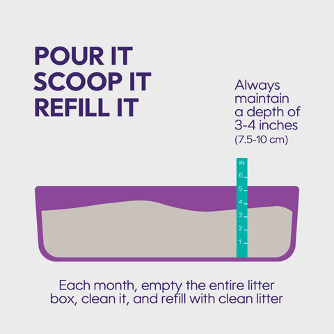 Cat Litter-US-EN-07