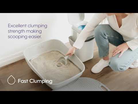 Cat Litter-CA-EN-10