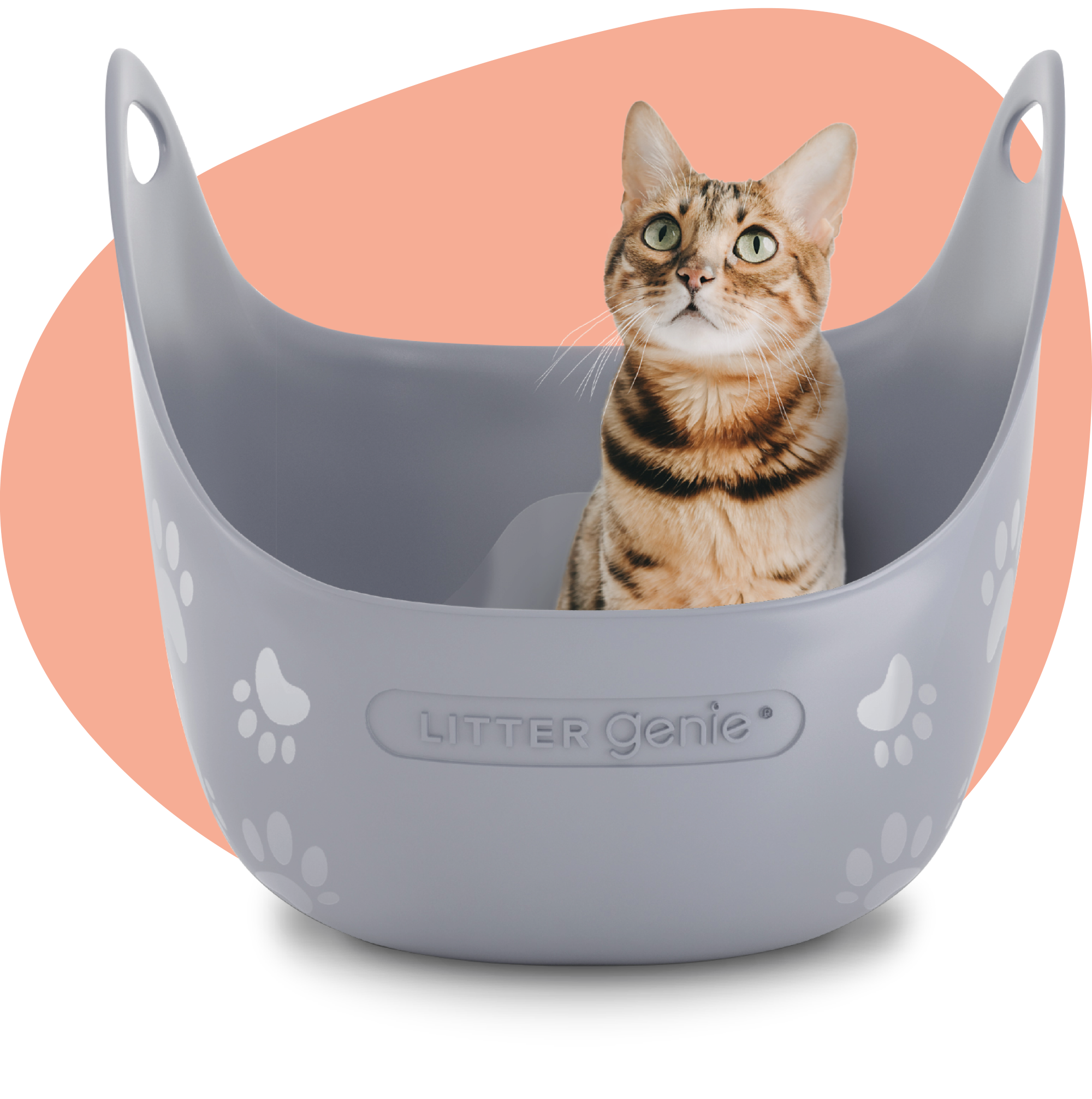 Litter Genie Litter Box litter genie
